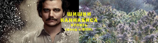 ПСИЛОЦИБИНОВЫЕ ГРИБЫ Богородицк