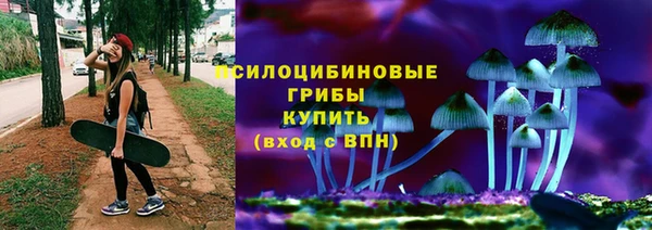 мдма Богданович