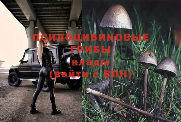 ПСИЛОЦИБИНОВЫЕ ГРИБЫ Богородицк