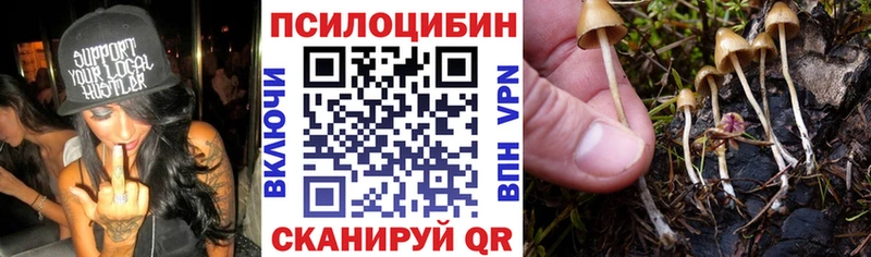 Галлюциногенные грибы GOLDEN TEACHER  как найти закладки  blacksprut маркетплейс  Наро-Фоминск 